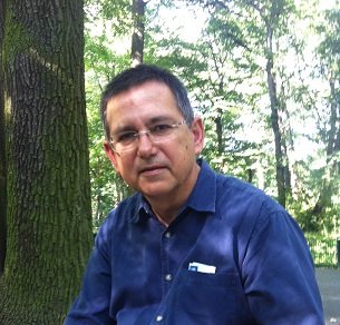 Owl Image